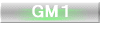 GMP 